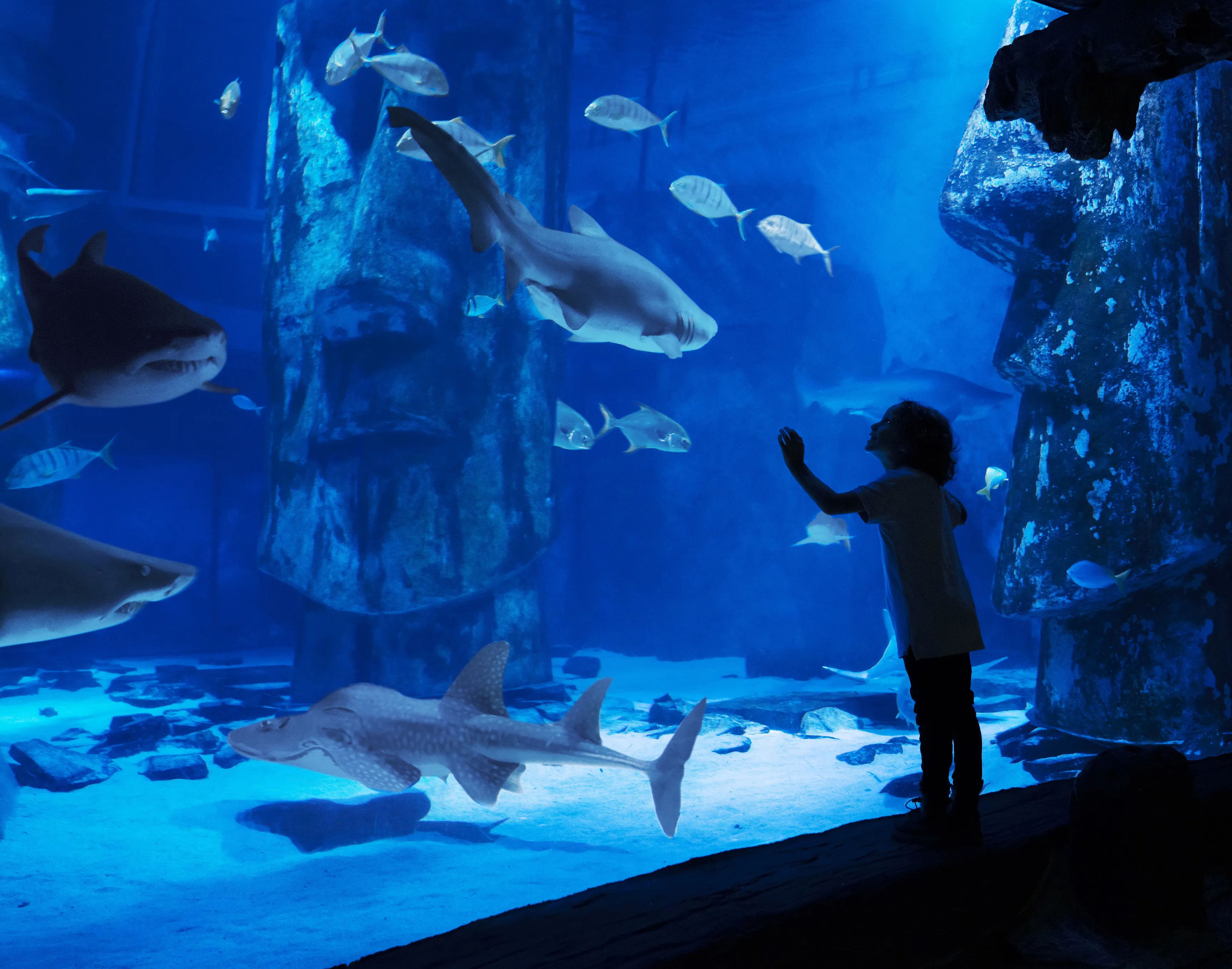 Child in ocean tunnel