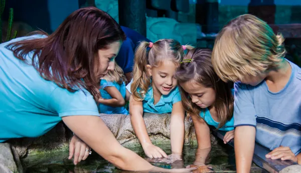 Children Rockpool