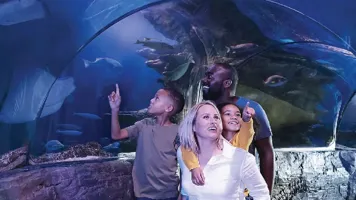 Family In Ocean Tunnel