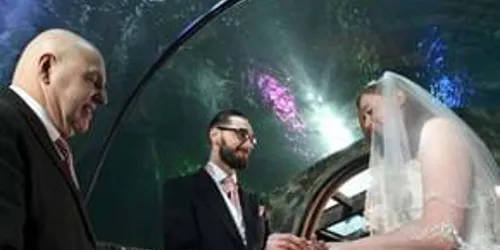 Weddings